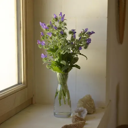 Casa Imayah Charming Bed & Breakfast Noto